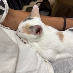 再投稿になります！