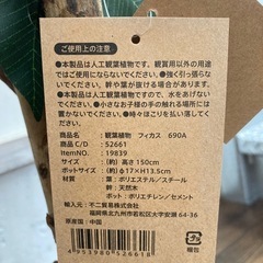 ★【不二貿易】観葉植物　フェイクグリーン　　フィカス　高さ150cm 北九州店舗店頭販売のみの画像