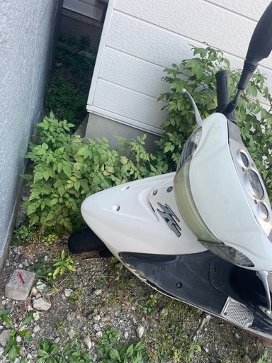 YAMAHAジョグエボsa16jzr