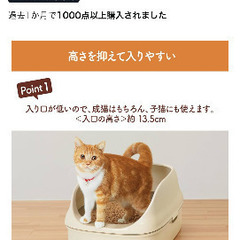 子猫用　トイレ　2点セットの画像
