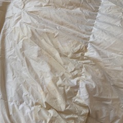 羽毛布団　フランスベットの画像
