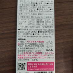 サンプル品の画像