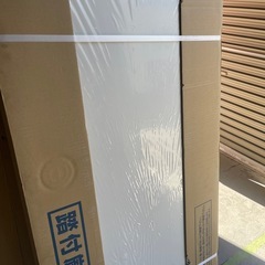 DAIKEN 650×2000mm ドア本体のみの画像
