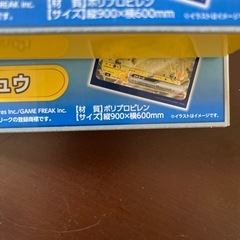 ポケモンレジャーシートの画像