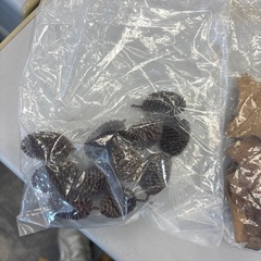 ベタ飼育用品の画像
