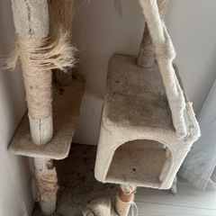 キャットタワーの画像