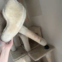 キャットタワーの画像
