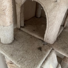 キャットタワーの画像