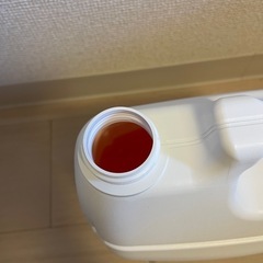 Lion Kirei Kirei 大容量泡沫洗手液 4L／500円／本日限定の画像