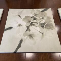IKEA アートパネル3枚セットの画像