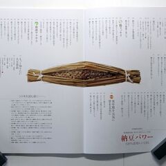 ■　料理研究家 浜内千波さん とっておき　納豆パワー 120％ 活用レシピ85　■の画像