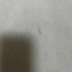 ラグカーペットの画像