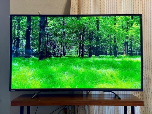 TOSHIBA ✨49C310X 本体 【ジャンク】 ジャンク】TOSHIBA REGZA