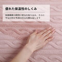 薄手　毛布　ブランケット 9月末頃引き取り希望の画像