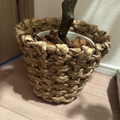 ユーカリ　観葉植物　フェイクグリーン
の画像