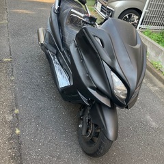 マジェスティc 250の画像