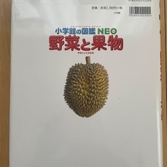 小学館の図鑑NEO 野菜と果物【11月末まで】の画像