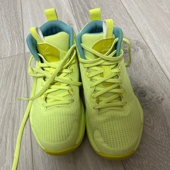 バッシュasics ノヴァサージ3の画像