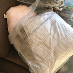 保護猫、保護犬、毛布、クッションいろいろの画像
