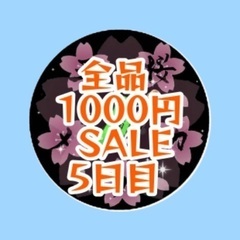【五桜メダカ】 9月2日　全品1000円SALE　4日目　…