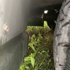 ランクル100 ディーゼルの画像