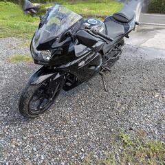 Kawasaki　カワサキ　Ninja250rの画像