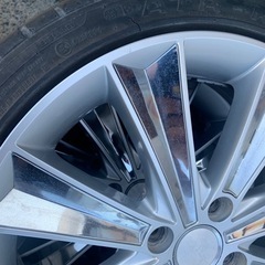 STV R16の画像