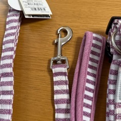 中型犬用ソフティリードの画像