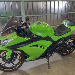 動画あり　機関良好　★Ninja250 EX250L ニンジャ250★の画像