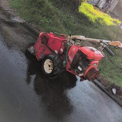 牧草モアーの画像