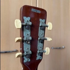 Wilson T147 ジャパンビンテージアコースティックギターの画像