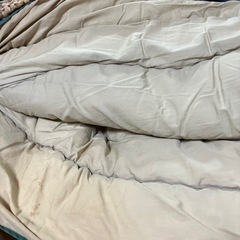 こたつ掛け布団の画像