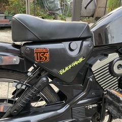 超希少　ロードマスター　ハーレー自転車の画像
