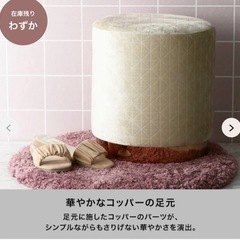 Faranc Francチェアーの画像