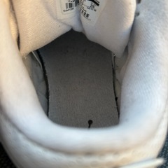 エアジョーダン 3レトロ 26cmの画像