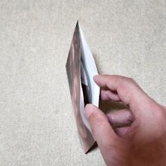 週刊プレイボーイ　渡邊渚DVD付きの画像
