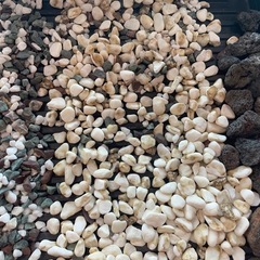 アクアリウム用　底石　白玉石　溶岩石　麦飯石の画像