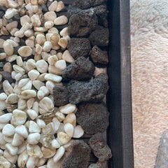 アクアリウム用　底石　白玉石　溶岩石　麦飯石の画像