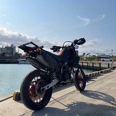 Dトラッカー(250sb)の画像