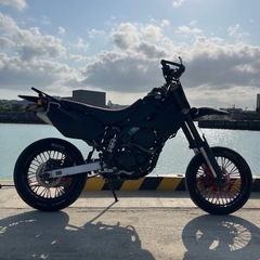 Dトラッカー(250sb)の画像