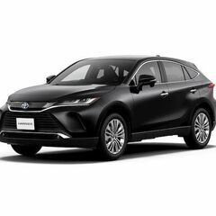 新品　TOYOTA　トヨタ　ハリアー　80系　85系　2020.6〜現行　リアゲート　メッキトリム　ガーニッシュ　カバー　パネルの画像