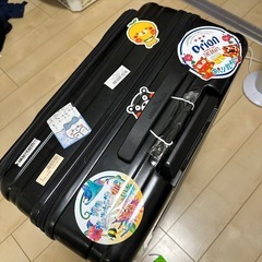 片開きタイプのスーツケースの画像