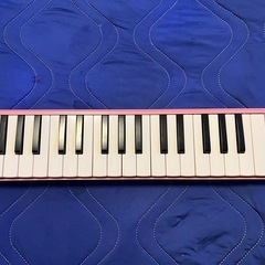 鍵盤ハーモニカ の画像