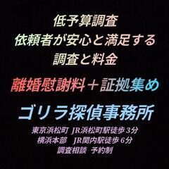 パパ活調査·風俗遊び[証拠集め]離婚慰謝料請求ゴリラ探偵事務所東京池袋新宿渋谷品川蒲田川﨑横浜 − 神奈川県