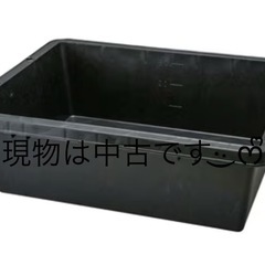 ジャンボタライ  
の画像