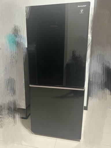 シャープ 冷蔵庫 プラズマクラスター