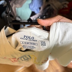 POLO Tシャツの画像