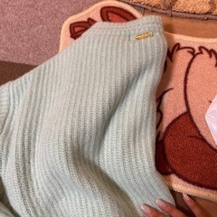 レディ ニットの画像