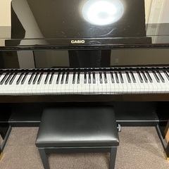 CASIO GP1000の画像