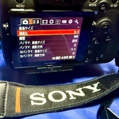 Sony α77 望遠ズームセット
の画像